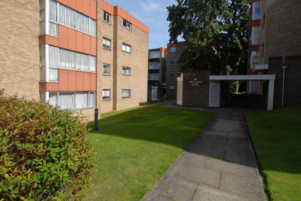 White Lodge Close, Sutton, SM2 5TQ
